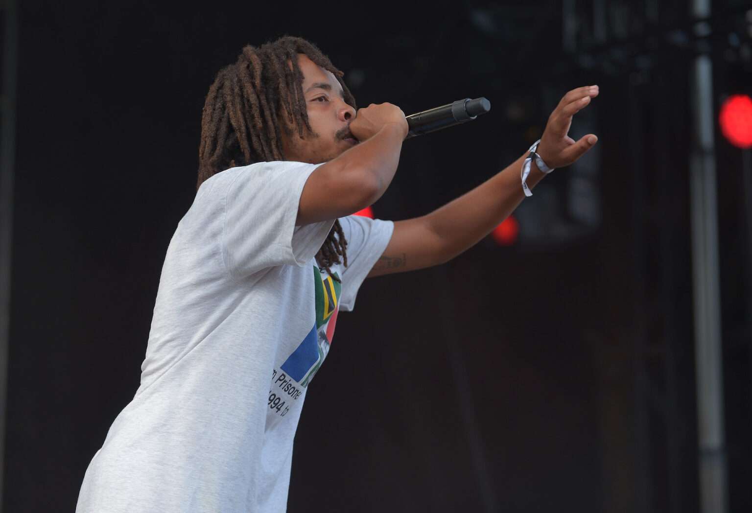 Earl Sweatshirt Live At Pitchfork Gallery Chicago Music Guide