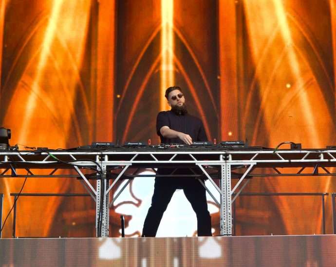 Tchami Live at Lollapalooza [GALLERY] 2