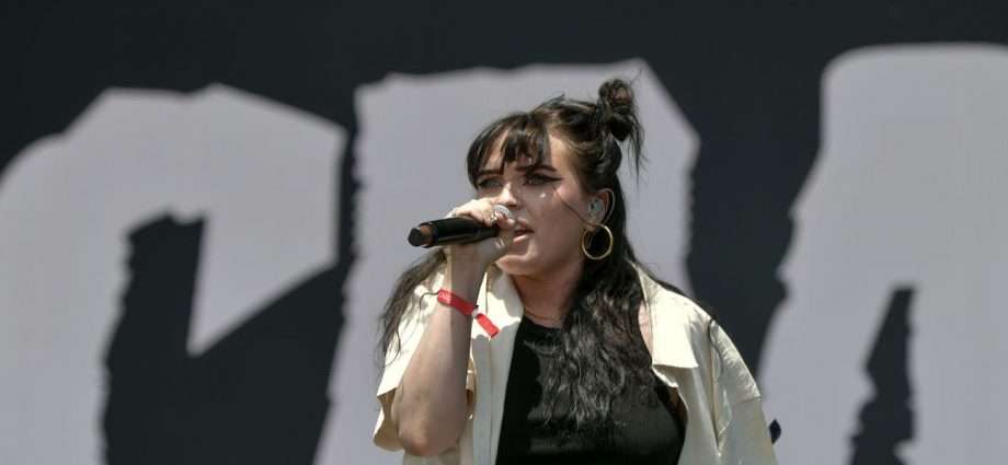 Crawlers Live at Lollapalooza [GALLERY] 1