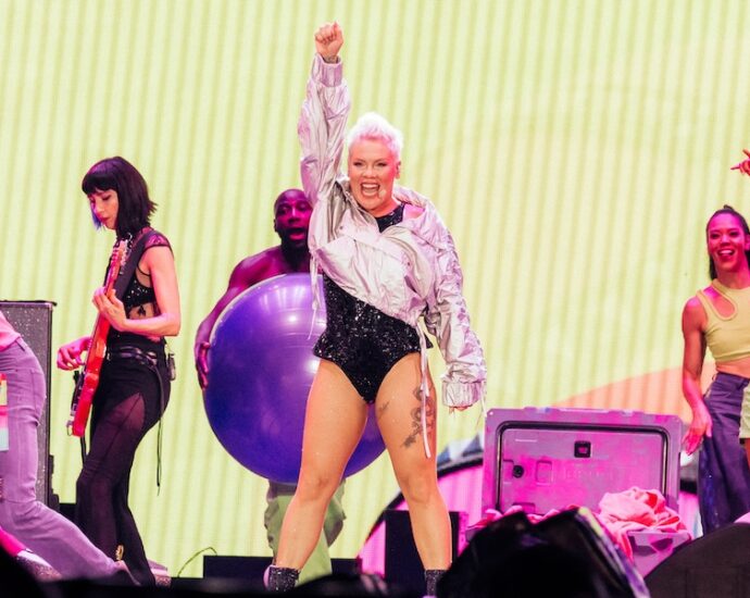 Pink Live at Soldier Field [GALLERY]