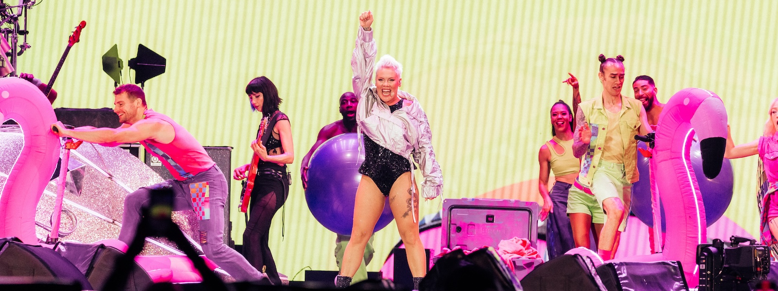 Pink Live at Soldier Field [GALLERY]