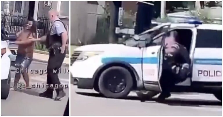 Woman Found Not Guilty in Chicago Police Squad Car Case Files to Change Her Name