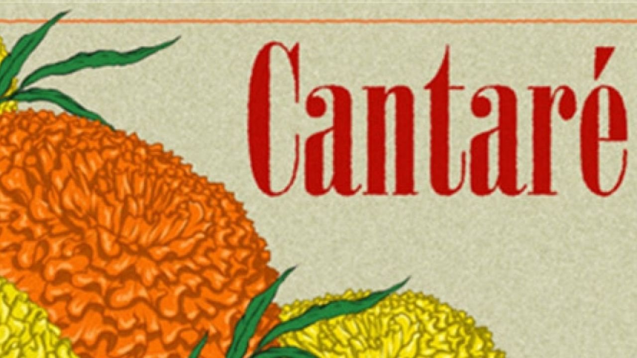 Chicago A Cappella Opens 2025–26 Season With CANTARÉ, A Celebration of Mexican Music
