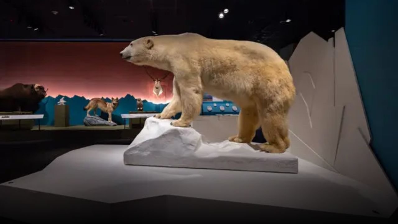On Thin Ice: Alaska’s Warming Wilderness — A Climate Reality Brought to Life