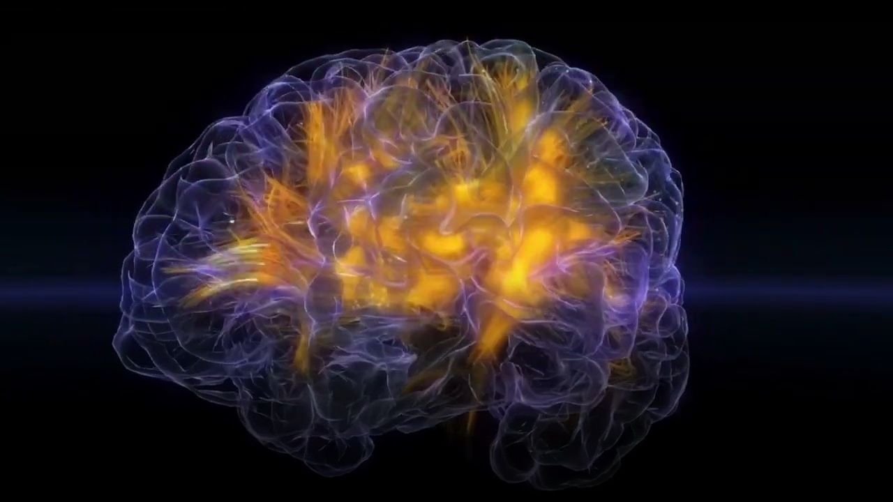 Verbier Festival Premieres “Neurorecital” With Live Brain Imaging of Pianist Nicolas Namoradze