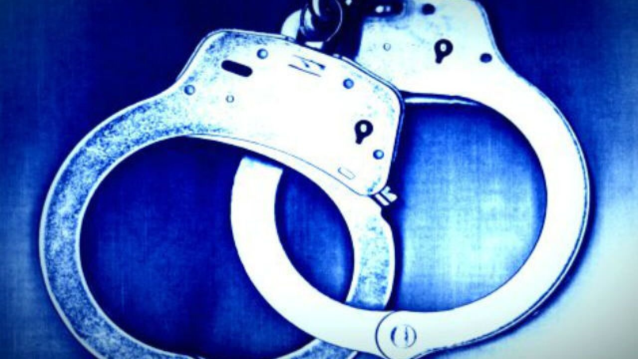 Naperville Man Charged After Warrenville Carjacking and Gas Station Attack