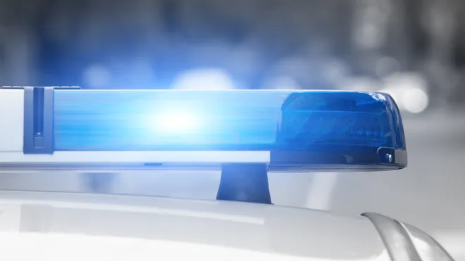 Indiana 7-day-old Baby Boy Killed in Family Dog Attack at Markle Home