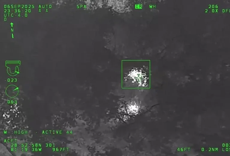 Florida K-9 Tracking Suspect Stumbles Upon Bear in Woods