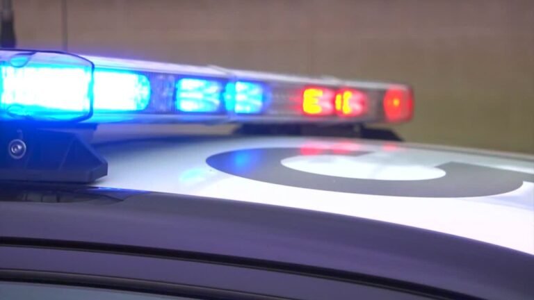 Blount County Traffic Stop Leads to Hoax Bomb Scare and Firearms Arrests