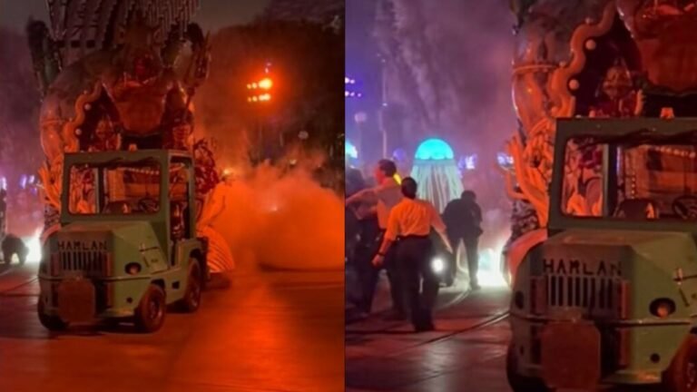 Disneyland Parade Float Seemingly Catches Fire During Paint the Night Show