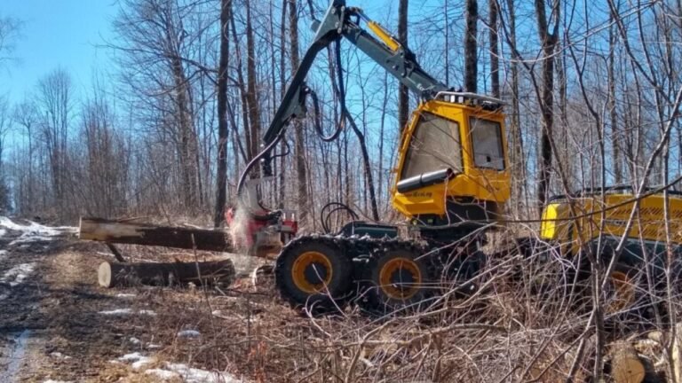 Forestry Revitalization Act Aims to Turn Wisconsin Timber Into Aviation Fuel