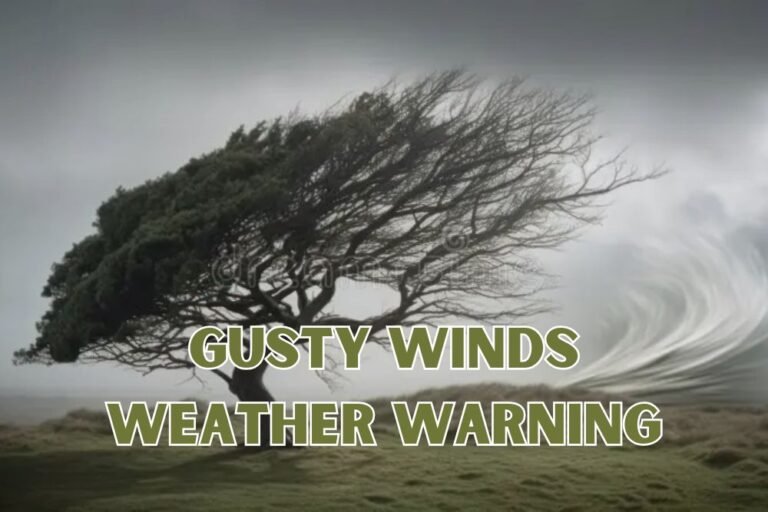 Colorado Springs Faces Thunderstorms, Gusty Winds and Cooler Fall Temperatures