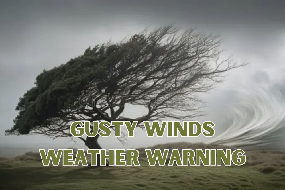 Colorado Springs Faces Thunderstorms, Gusty Winds and Cooler Fall Temperatures