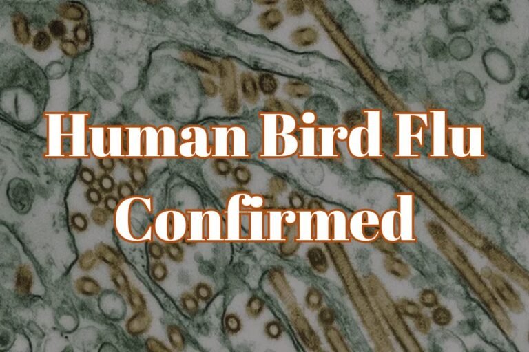 Missouri’s First Human Bird Flu Case Marks One Year as U.S. Pandemic Preparedness Weakens