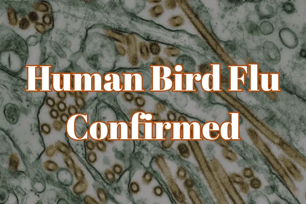 Missouri’s First Human Bird Flu Case Marks One Year as U.S. Pandemic Preparedness Weakens