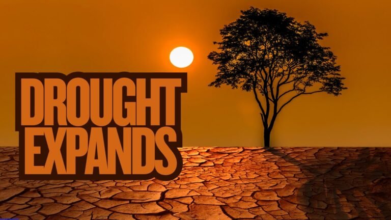 Illinois Drought Expands With Severe Conditions Reported in Central and Southern Counties