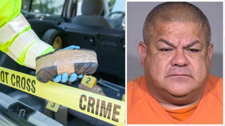 Illinois SWAT Raid Uncovers $120K in Cocaine, South Elgin Man Arrested