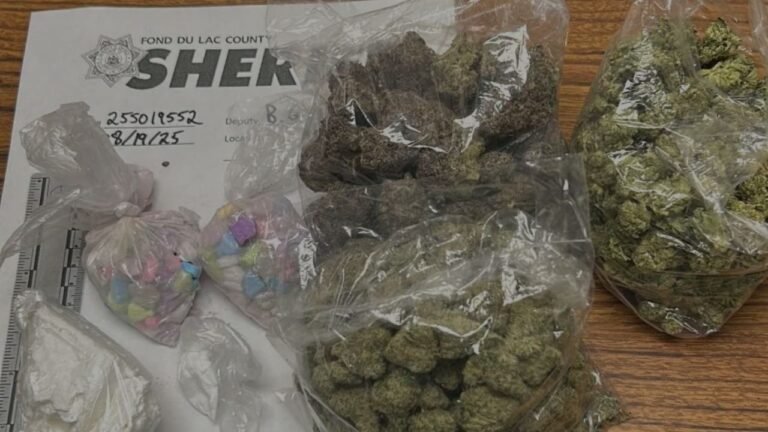Multi-Agency Task Force in Fond du Lac County Makes Dozens of Arrests in Massive Drug Bust During 74 Traffic Stops