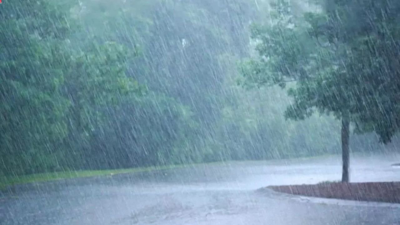 Northern Maine Weather Alert Heavy Rain Saturday Night, Clearing Skies by Sunday Afternoon