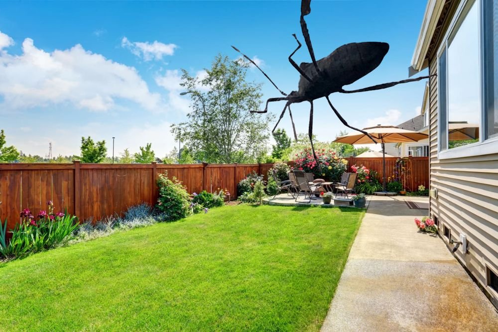 Oklahoma Woman’s Backyard Overrun by Mystery Bugs