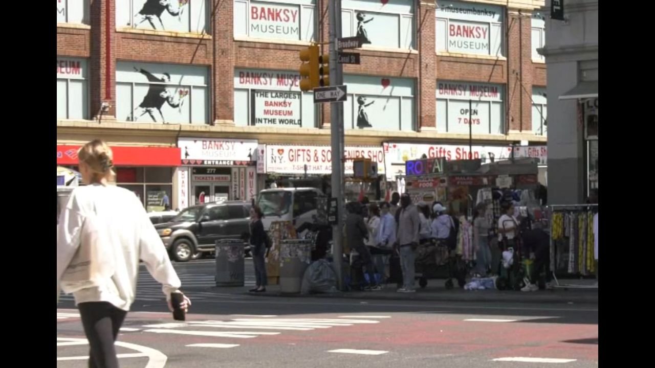 Petition Signed by 800 Calls for Stronger NYPD Presence on Canal Street