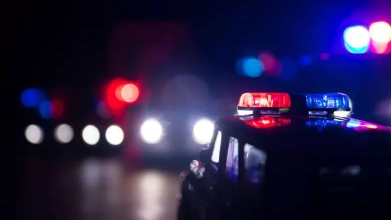 Rockford Police Arrest Four in Weekend Drug Bust and Attempted Car Theft