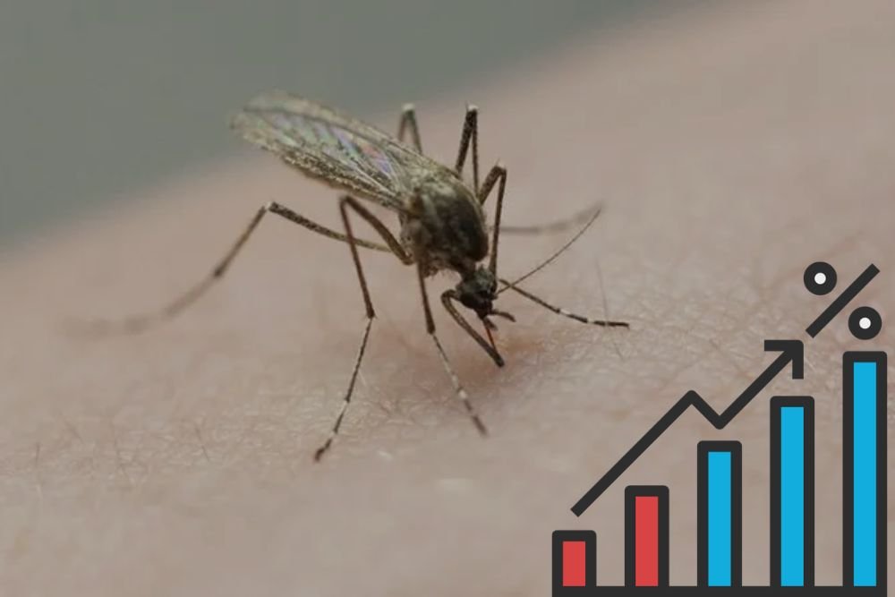 West Nile Cases in Illinois Surpass Last Year’s Total as State Reports First Death