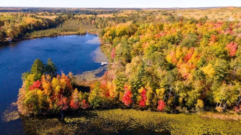 Wisconsin Fall Colors 2025: Northwoods Already Near 50% Change as Peak Approaches