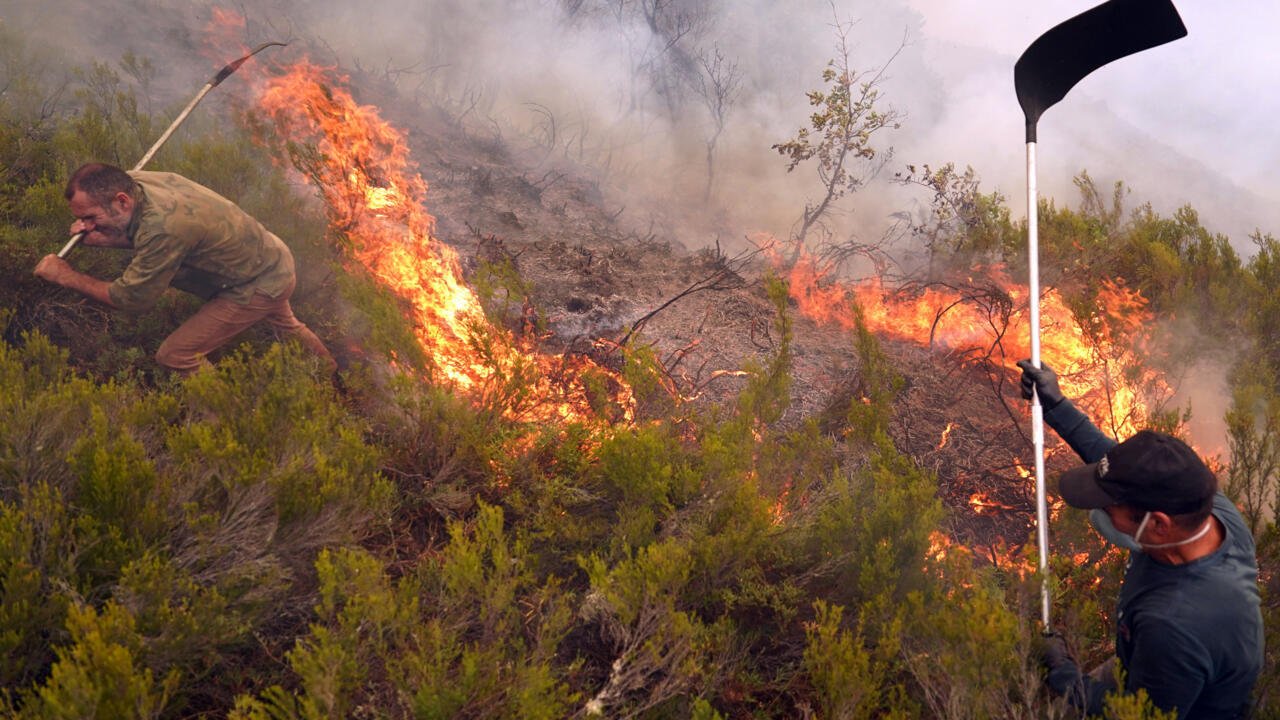 Climate Change Made Iberian Wildfires 40 Times More Likely, Study Finds