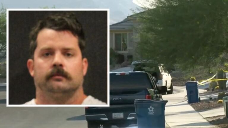 Arizona Dad Who Got ‘Distracted’ by PlayStation While 2-Year-Old Died in 109-Degree Car Pleads Guilty to Murder