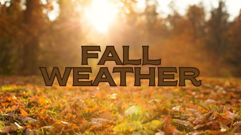 Chicago Weather Update: Cool Fall Air Takes Over Before Weekend Warm-Up