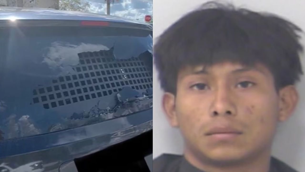 Florida Teen Arrested After Throwing Rock Through Window of ICE Vehicle During Immigration Operation