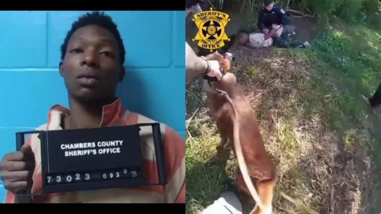 Kentucky Fugitive Caught After Foot Chase on I-10 in Texas With Help From K9 Unit
