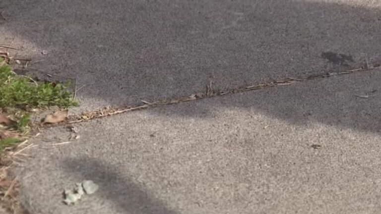 Louisville Man Dies After Being Shot in the Head Outside Club Cedar; City Suspends Bar’s Liquor License