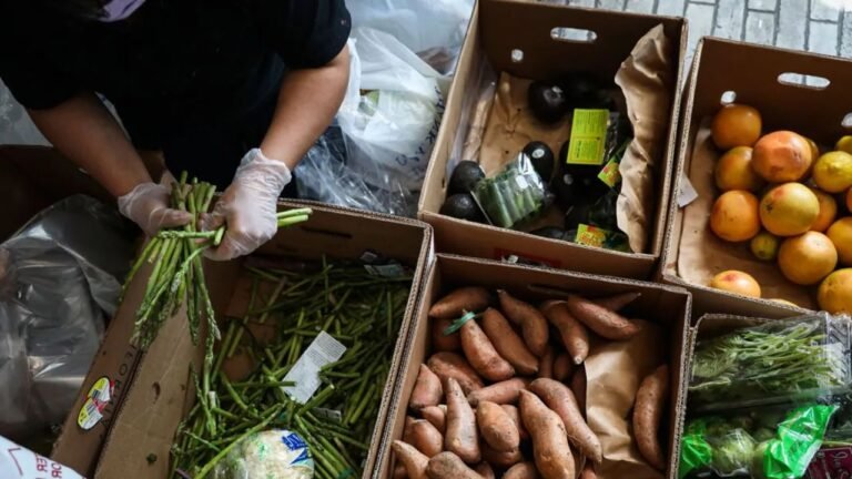 Minnesota and Wisconsin Food Shelves Overwhelmed as 1.1 Million Residents Face Loss of SNAP Benefits