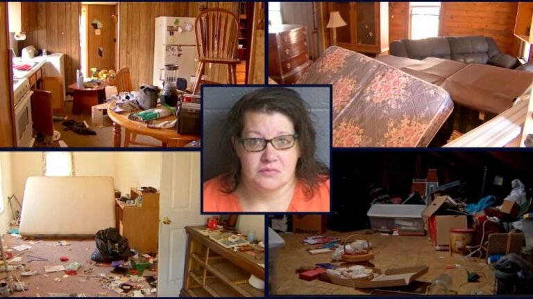 Pennsylvania Mom Described in Detail How 4 Dead Newborns Were Hidden Throughout Her Home, Police Say