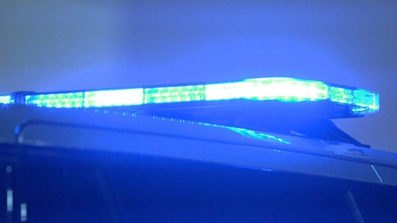 Police Arrest Two in Investigation of Dog Mistreatment at Schofield K-9 Training Facility