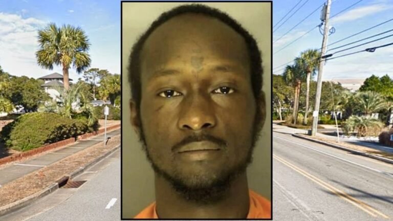 South Carolina Man Accused of Beating Woman With E-Bike Battery Over Missing Hoodie, Leaving Her Permanently Disfigured