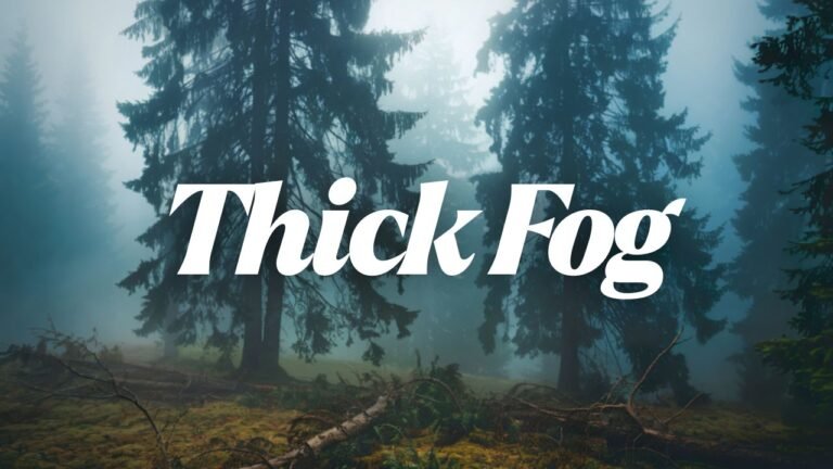 South Carolina Weather Alert: Thick Fog Blankets Upstate as Rain and Cooler Air Move In Tonight