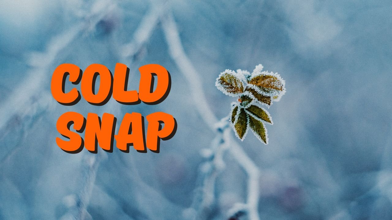 Amarillo Weather Alert: Fall Warmth Fades as Weekend Cold Snap Sweeps Across the Panhandle