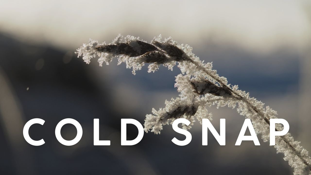 Indiana Braces for Dangerous Cold Snap as Wind Chills Drop to 5°F From Monday Night Through Midweek