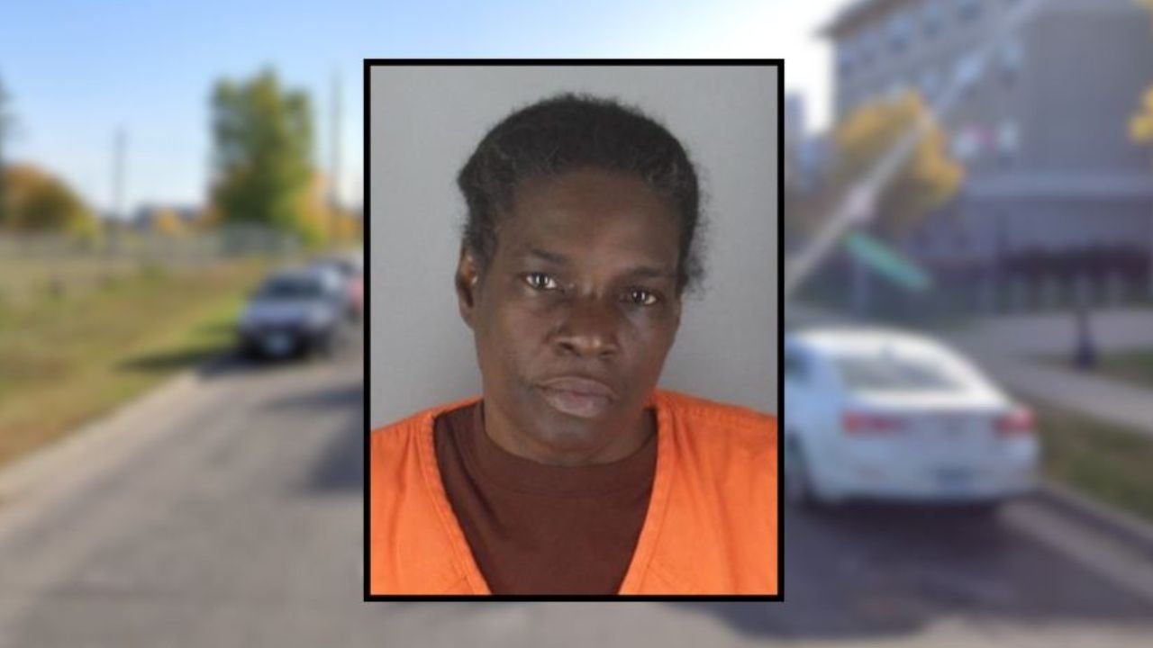 Minnesota Grandmother Arrested After Both 2-Year-Old Twins Overdose on Methadone Hours Apart While in Her Care