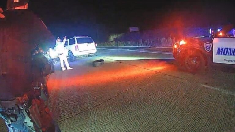 Wisconsin Sex Offender Arrested After Leading Multi-County Police Chase That Ended With PIT Maneuver on I-90