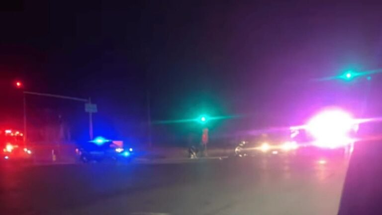 Wisconsin Woman Accused of Drunk Driving Crash That Killed 68-Year-Old Friend in Zion Released Without Bond