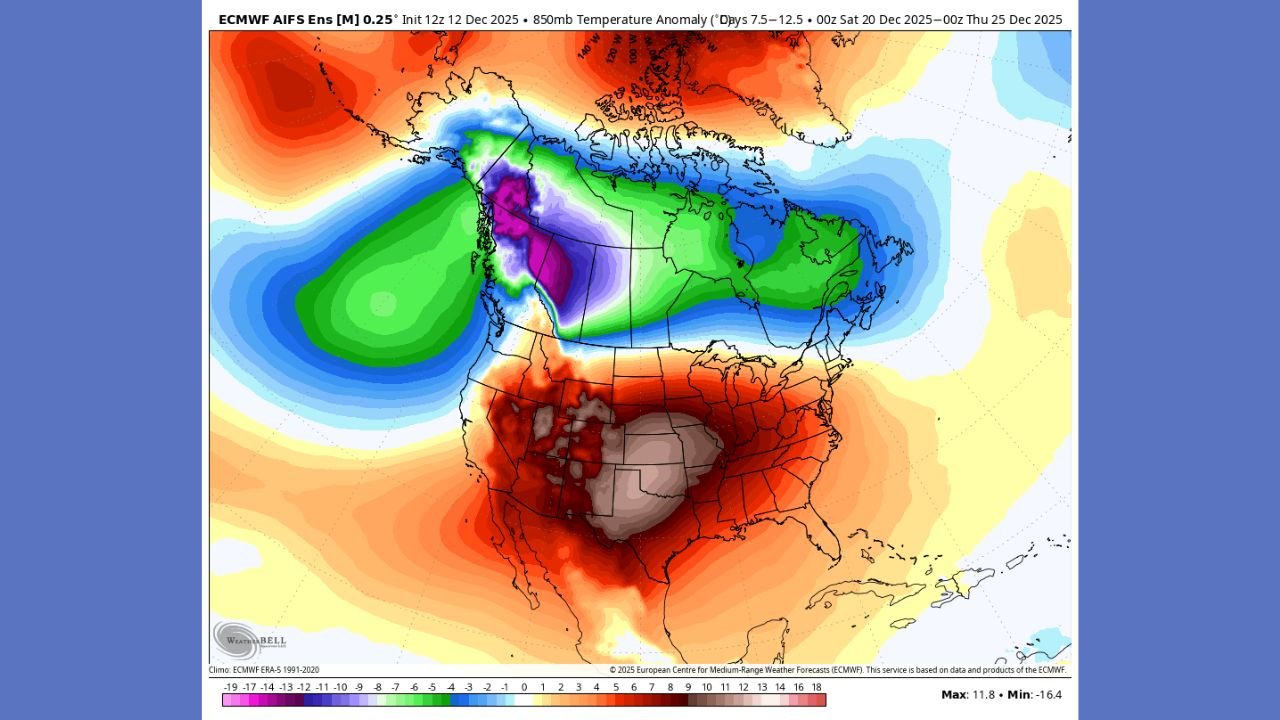 Maryland, Virginia, and Washington D.C. Braced for Mid-December Arctic Cold as Wind Chills Turn Dangerous by Sunday