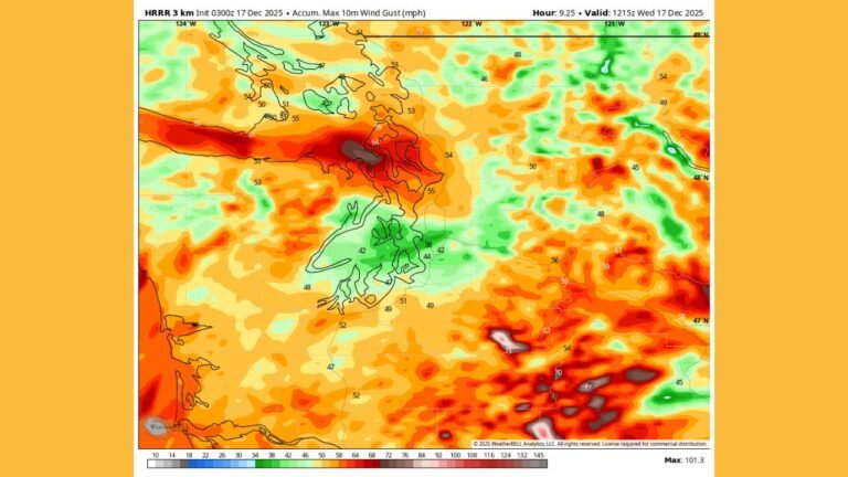 Washington State Braces for Widespread 50–75 MPH Wind Gusts as Powerful Storm Targets the Pacific Northwest