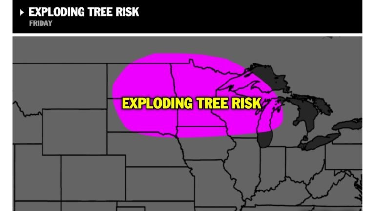 Minnesota, Wisconsin, Iowa, North Dakota, South Dakota and Michigan Face Rare “Exploding Tree” Risk as Arctic Cold Plunges Temperatures Below –20°F This Weekend