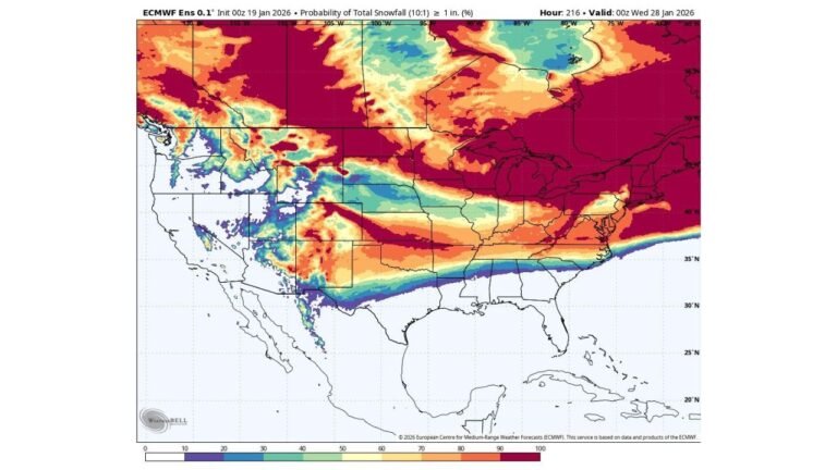 Texas, Oklahoma, Arkansas, Louisiana, Mississippi, Alabama, Georgia, and Tennessee Face Increasing Risk of Rare Southern U.S. Winter Storm With Snow and Ice Potential Late January