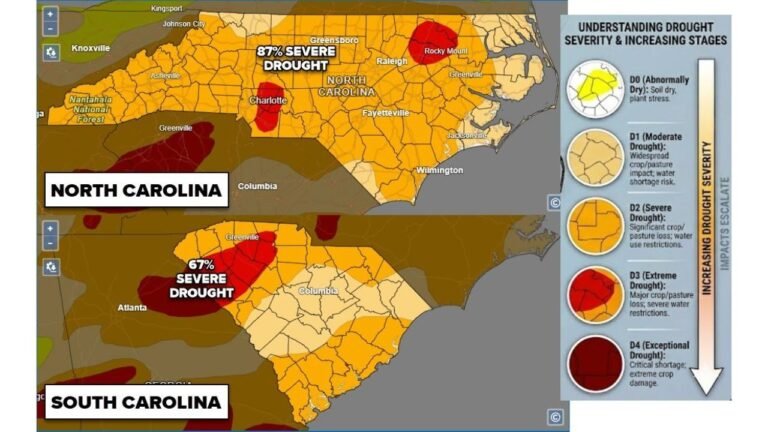 North Carolina at 87% Severe Drought and South Carolina at 67% as Worst Widespread Dry Spell Since 2008–2012 Intensifies