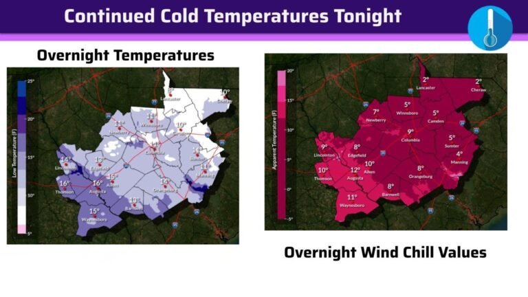 South Carolina Faces Another Brutal February Night as Temperatures Stall in the 30s and Plunge Into the Teens With Single-Digit Wind Chills